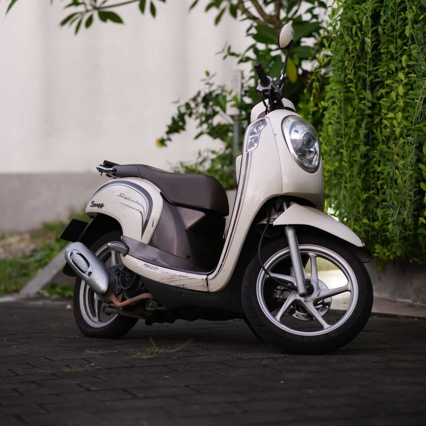 HONDA SCOOPY