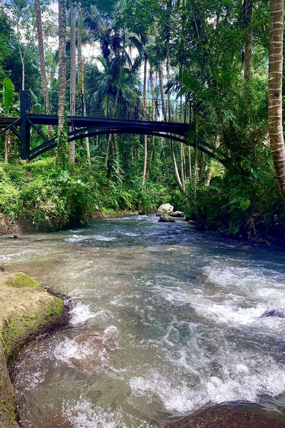 Serene River Crossing