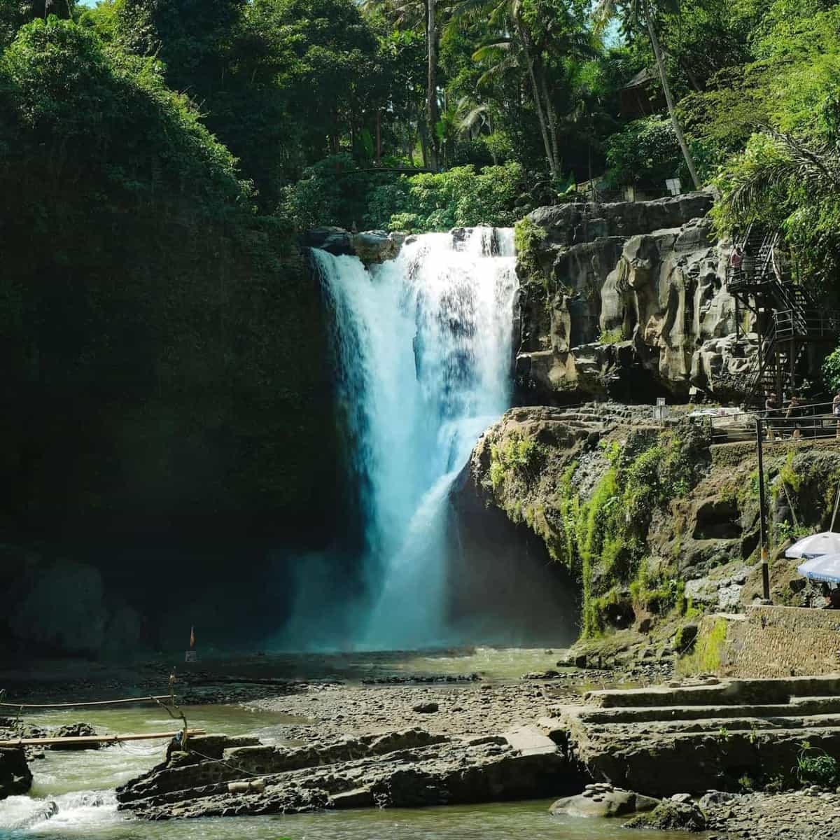 Ubud Tour